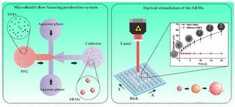 1461564299749140.jpg 20160425140050.jpg
