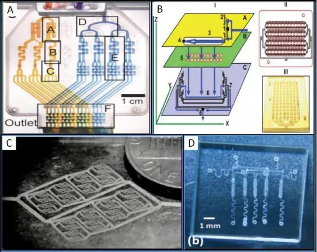 1462325440616946.jpg 20160504092257.jpg