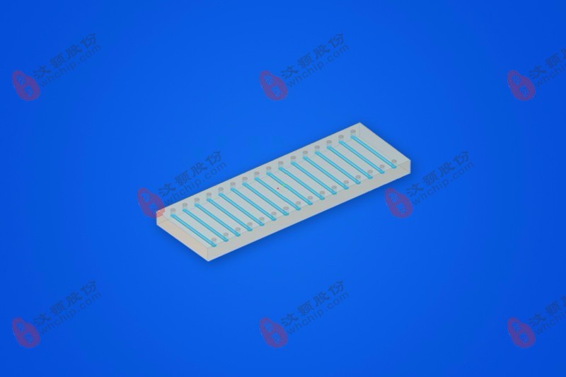 16-Microchannel Microfluidic Chip