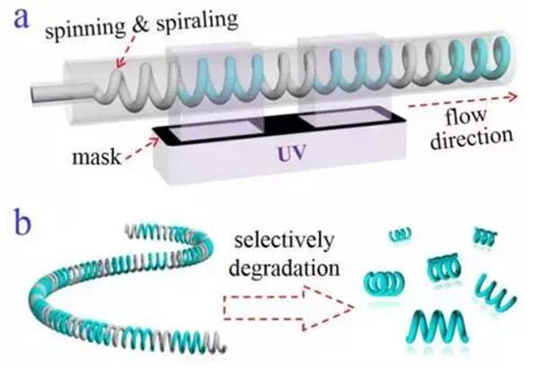 微流控光刻仿生螺旋微型馬達