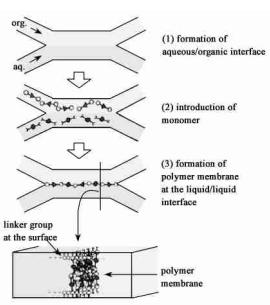 微流控芯片層流技術(shù)