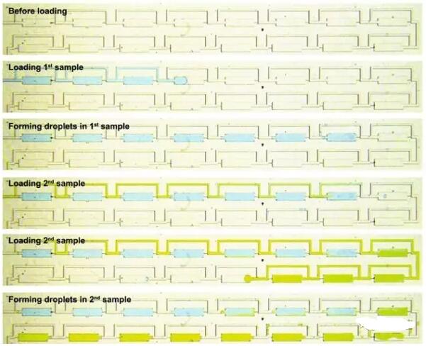 精準癌癥治療新突破，24小時出癌細胞藥敏結果