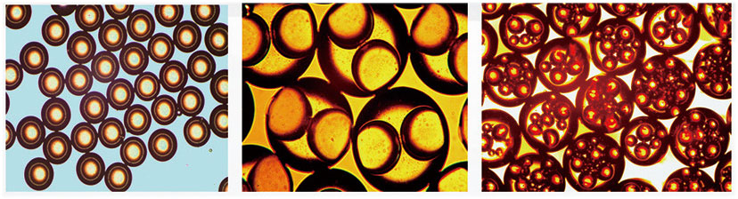 Double emulsion microscopy photos: single-core, dual-core, multi-core