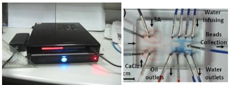 新型數字化閥控微流平臺及其應用在藥物開發和抗藥篩選方面的研究