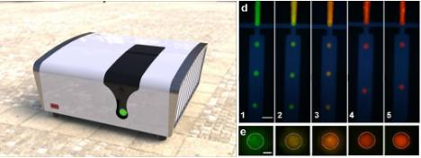 在線芯片生物大分子熒光毛細管電泳與PCR檢測聯用