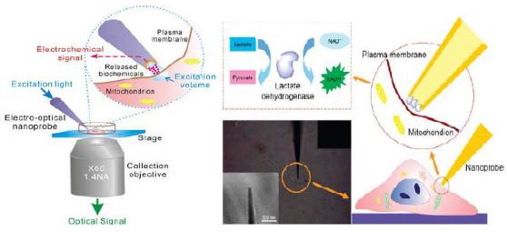生物傳感器與生物芯片
