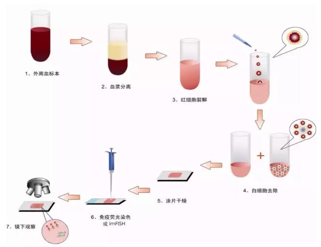 陰性富集法—Cyttel