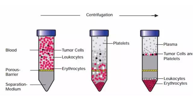 密度梯度離心法