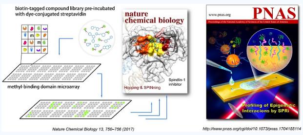 表觀遺傳研究的新蛋白微陣列技術