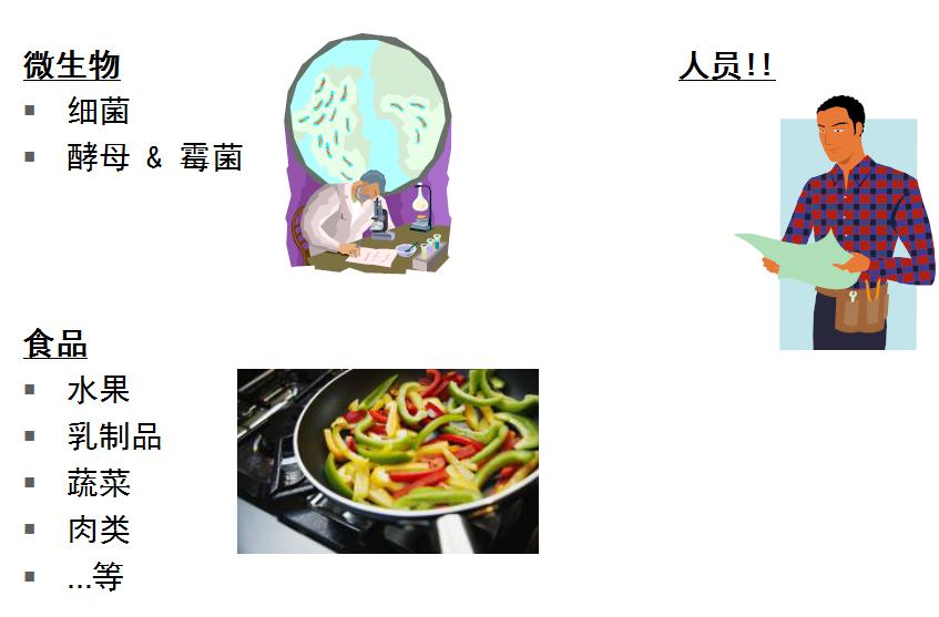 4.ATP的主要來源