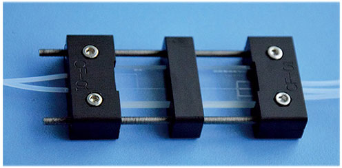 Dual Chip and Fixture System