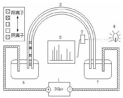 微流控芯片毛細管電泳過程示意圖