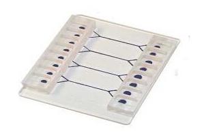 汶顥微流控芯片流體的驅動和控制