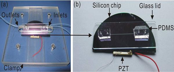 微流控芯片流體的控制與驅動效果示意圖