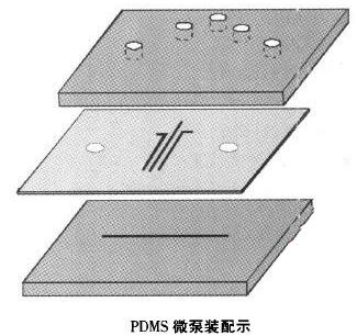 微流體PDMS芯片流體控制設備微泵裝配示意圖