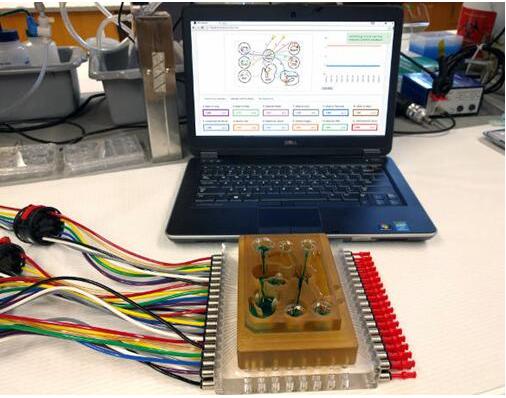 研究人員將多器官平臺連接到相關軟件，每個孔都連接有一個微型生理系統，如肺、腸道，或中樞神經系統，流體流經通道以模擬生理心臟輸出