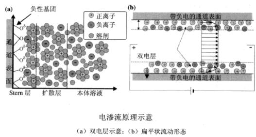 微流控芯片電滲流原理示意圖