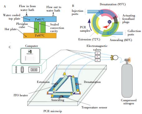 圖5   閉環型 PCR設備: (A) 雷諾-貝納爾對流驅動式閉環 PCR 裝置; (B) 磁流體驅動式閉環 PCR裝置;(C) 壓力驅動式閉環 PCR 裝置