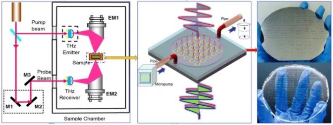 負折射率超材料生化傳感器研究