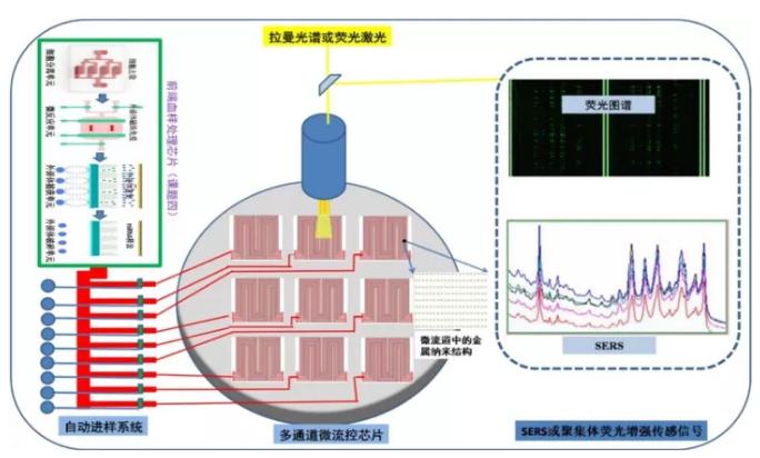 高增敏金屬納米結構材料與聚集體生化傳感器研究