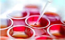 納米技術芯片或可一次性修復受傷組織