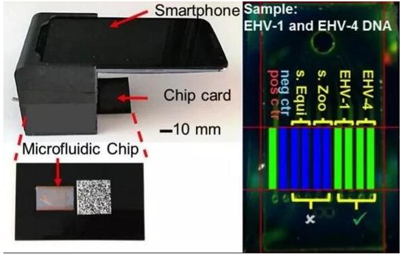 微流控芯片實(shí)驗(yàn)室平臺：可快速檢測多種傳染病病原體