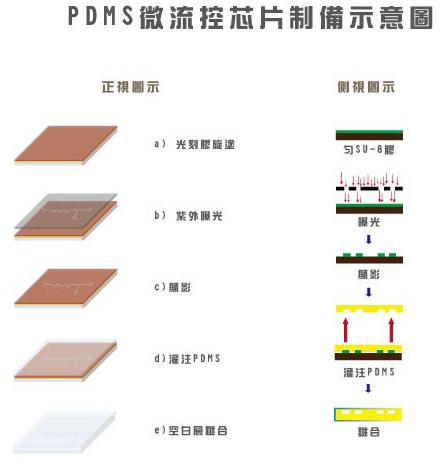 PDMS芯片微結(jié)構(gòu)制備工藝