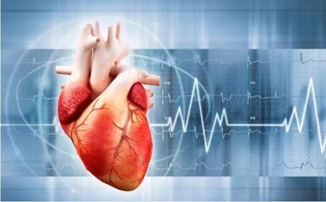 3D打印在心血管構建方面的應用