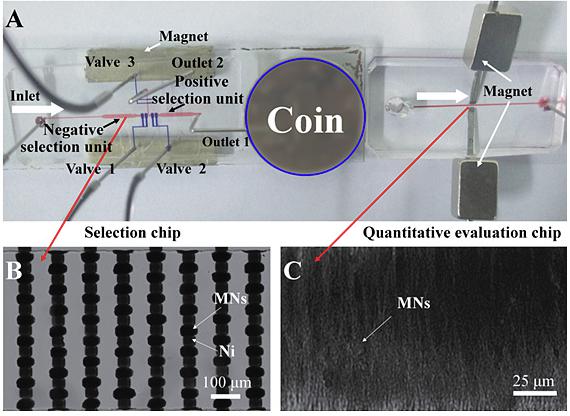 多功能微流控篩選平臺用于核酸適配體高效篩選
