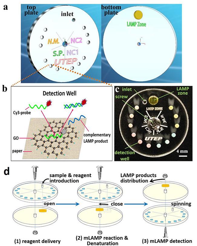 小小可旋轉CD生物芯片實現(xiàn)多種傳染性疾病的及時定量診斷