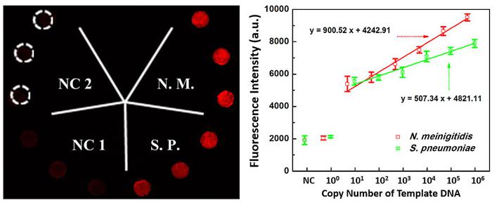 微流控生物芯片在醫(yī)療診斷應用