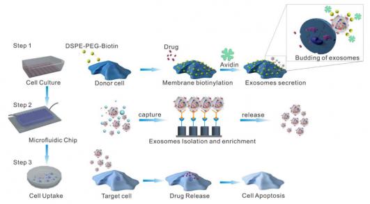 三維納米結構微流控芯片