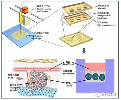 開放式微流控芯片組織陣列系統(tǒng)