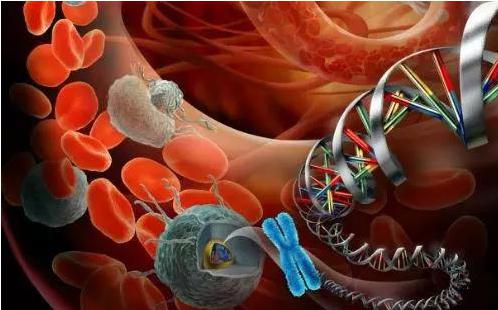 循環腫瘤細胞（CTC）在精準醫療領域的應用