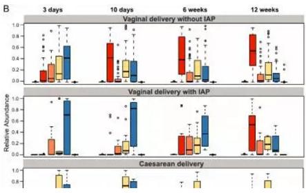 孕婦分娩期用抗生素，嬰兒菌群成熟推遲