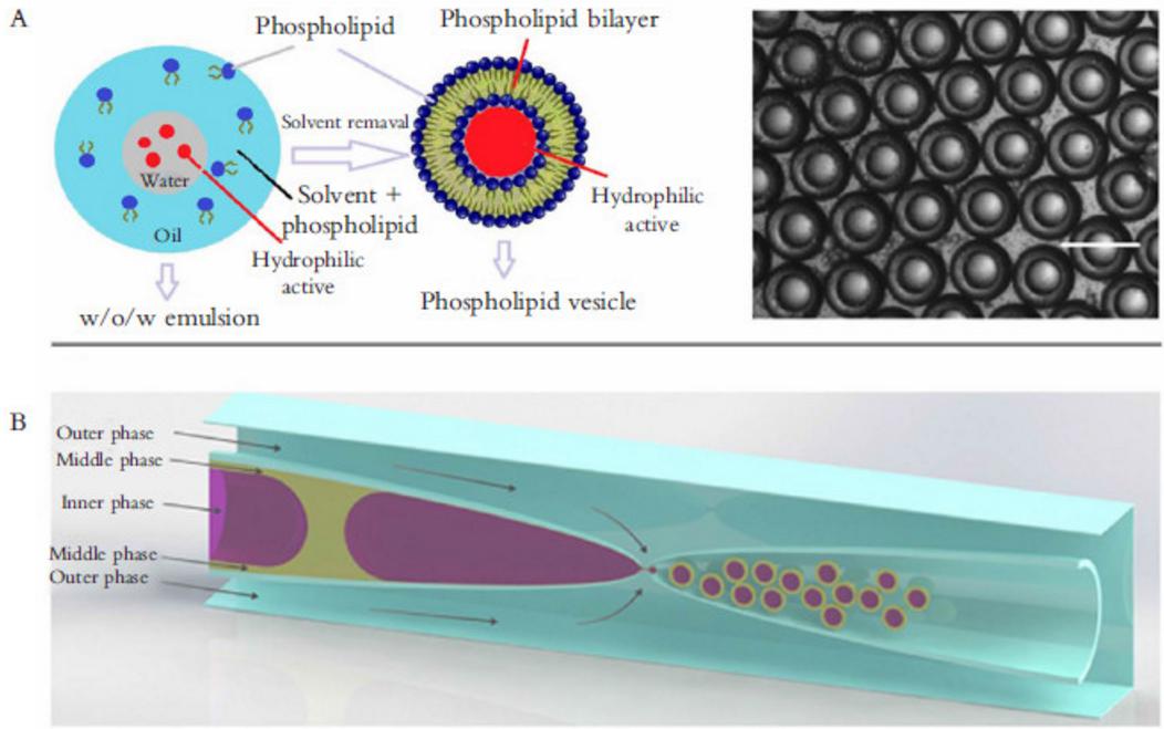 圖 3 液滴微流控應用于藥物遞送與釋放