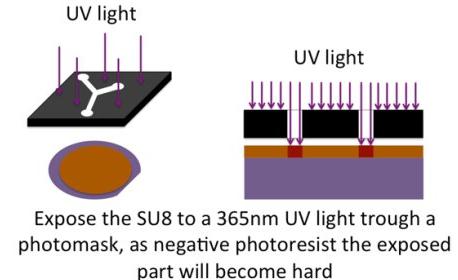 曝光的目的是通過激活光刻膠中的部分PAC（PhotoActiv Component）來引發交聯反應