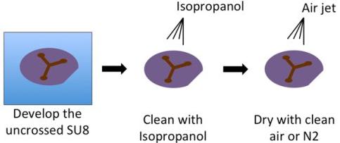 負性環氧樹脂SU-8光刻膠的顯影