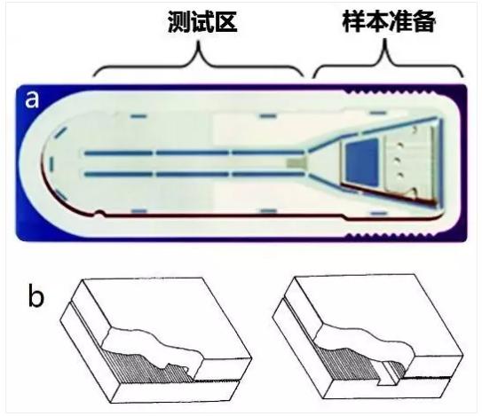 圖3 Biosite微流體測試卡結構