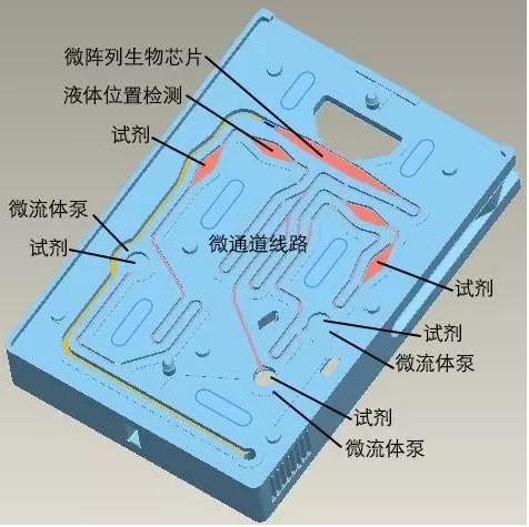 圖3 理邦m16微流控測試卡結構