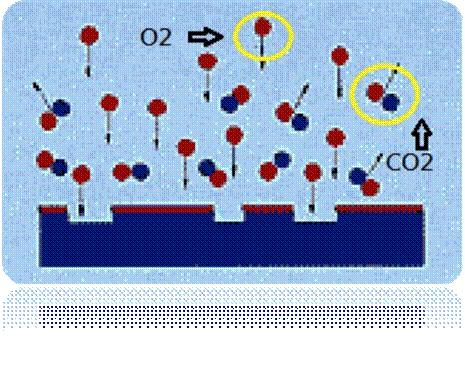 圖二為已被電離化的氣體分子團（Plasma）對被處理材料的分子團進行撞擊及反應。