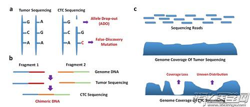CTC測序的挑戰與未來展望