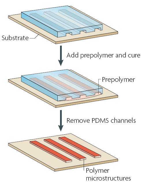 圖4 毛細管成形技術的過程
