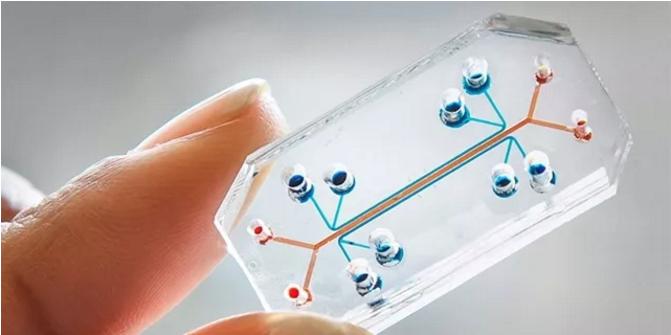 微流控生物芯片