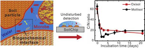 采用濕潤性圖案化微流控芯片技術用于土壤生物地球化學界面的形成過程研究