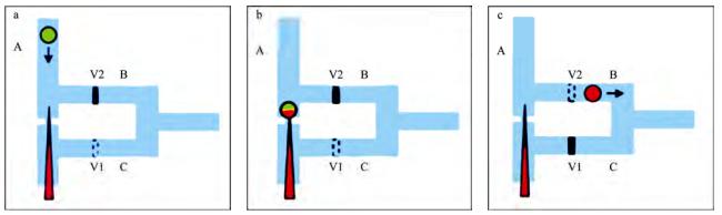 圖2微流控芯片中的單細胞微注射系統