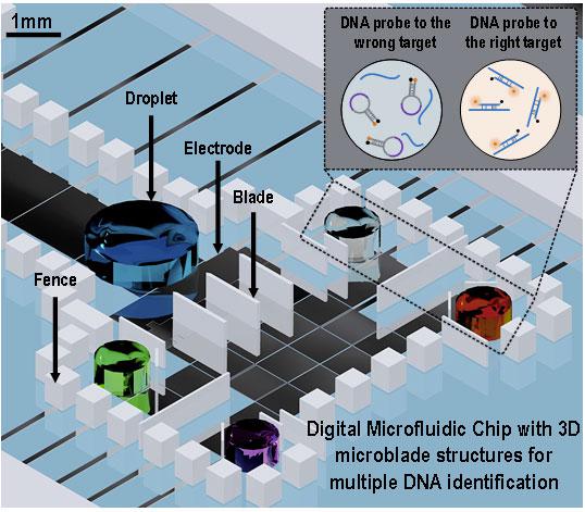 三維微結(jié)構(gòu)的數(shù)字微流芯片用于并行多種DNA分析