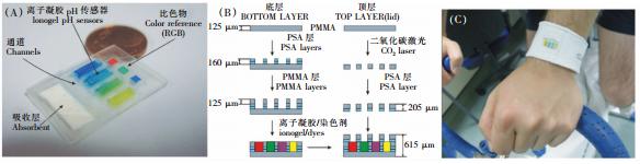 圖 2 可穿戴式汗液pH值檢測微流控系統