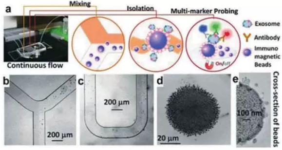 圖4：基于免疫親和原理分析外泌體的微流控系統
