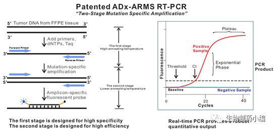 人類EGFR基因普通便檢測試劑盒（多重熒光PCR法）
